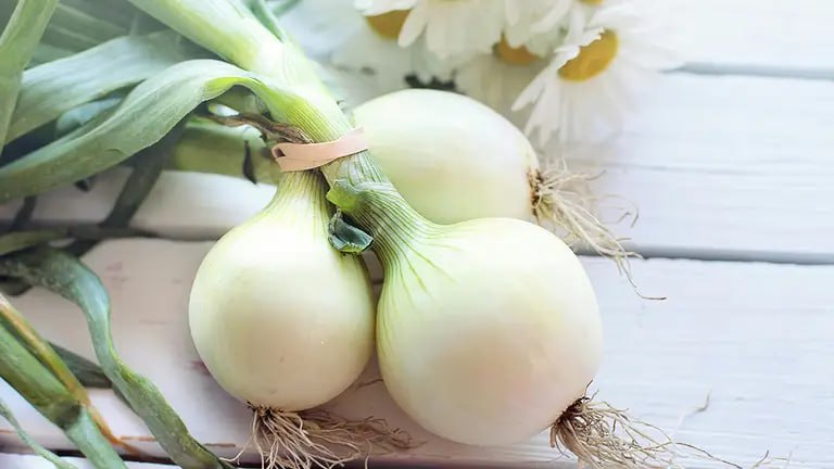 Koji je luk ukusniji – crveni, bijeli ili žuti? Evo što trebate znati